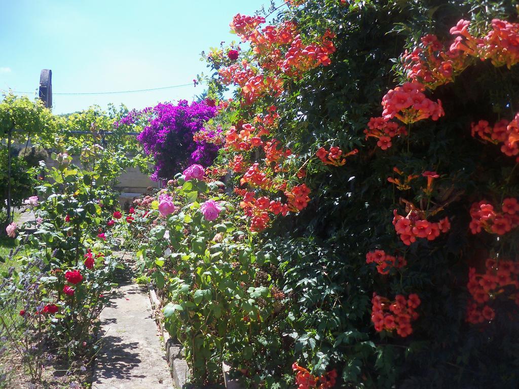 Fuente El Hayedo Otel San Vicente De La Barquera Dış mekan fotoğraf